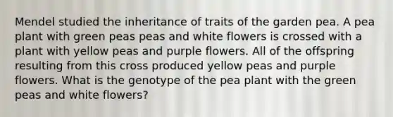 Mendel studied the inheritance of traits of the garden pea. A pea plant with green peas peas and white flowers is crossed with a plant with yellow peas and purple flowers. All of the offspring resulting from this cross produced yellow peas and purple flowers. What is the genotype of the pea plant with the green peas and white flowers?