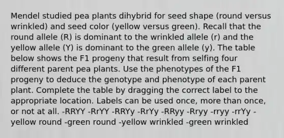 Mendel studied pea plants dihybrid for seed shape (round versus wrinkled) and seed color (yellow versus green). Recall that the round allele (R) is dominant to the wrinkled allele (r) and the yellow allele (Y) is dominant to the green allele (y). The table below shows the F1 progeny that result from selfing four different parent pea plants. Use the phenotypes of the F1 progeny to deduce the genotype and phenotype of each parent plant. Complete the table by dragging the correct label to the appropriate location. Labels can be used once, more than once, or not at all. -RRYY -RrYY -RRYy -RrYy -RRyy -Rryy -rryy -rrYy -yellow round -green round -yellow wrinkled -green wrinkled