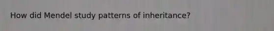 How did Mendel study patterns of inheritance?