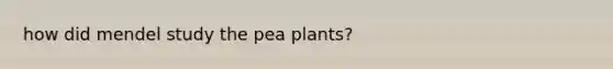 how did mendel study the pea plants?