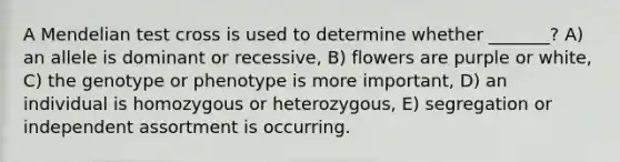 A Mendelian test cross is used to determine whether _______? A) an allele is dominant or recessive, B) flowers are purple or white, C) the genotype or phenotype is more important, D) an individual is homozygous or heterozygous, E) segregation or independent assortment is occurring.