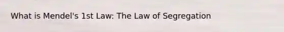 What is Mendel's 1st Law: The Law of Segregation