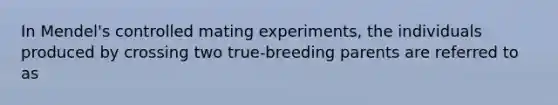 In Mendel's controlled mating experiments, the individuals produced by crossing two true-breeding parents are referred to as