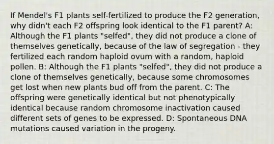 If Mendel's F1 plants self-fertilized to produce the F2 generation, why didn't each F2 offspring look identical to the F1 parent? A: Although the F1 plants "selfed", they did not produce a clone of themselves genetically, because of the law of segregation - they fertilized each random haploid ovum with a random, haploid pollen. B: Although the F1 plants "selfed", they did not produce a clone of themselves genetically, because some chromosomes get lost when new plants bud off from the parent. C: The offspring were genetically identical but not phenotypically identical because random chromosome inactivation caused different sets of genes to be expressed. D: Spontaneous DNA mutations caused variation in the progeny.