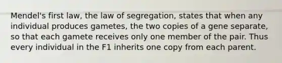 Mendel's first law, the law of segregation, states that when any individual produces gametes, the two copies of a gene separate, so that each gamete receives only one member of the pair. Thus every individual in the F1 inherits one copy from each parent.