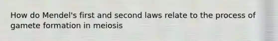 How do Mendel's first and second laws relate to the process of gamete formation in meiosis