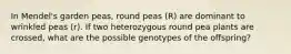 In Mendel's garden peas, round peas (R) are dominant to wrinkled peas (r). If two heterozygous round pea plants are crossed, what are the possible genotypes of the offspring?