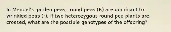 In Mendel's garden peas, round peas (R) are dominant to wrinkled peas (r). If two heterozygous round pea plants are crossed, what are the possible genotypes of the offspring?