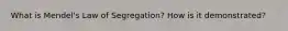 What is Mendel's Law of Segregation? How is it demonstrated?