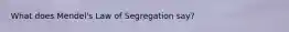 What does Mendel's Law of Segregation say?