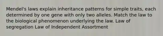 Mendel's laws explain <a href='https://www.questionai.com/knowledge/knmHDuZZrC-inheritance-patterns' class='anchor-knowledge'>inheritance patterns</a> for simple traits, each determined by one gene with only two alleles. Match the law to the biological phenomenon underlying the law. Law of segregation Law of Independent Assortment