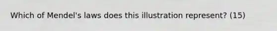 Which of Mendel's laws does this illustration represent? (15)