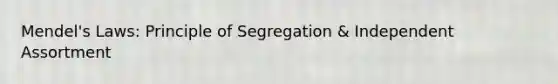 Mendel's Laws: Principle of Segregation & Independent Assortment