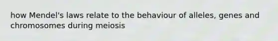 how Mendel's laws relate to the behaviour of alleles, genes and chromosomes during meiosis