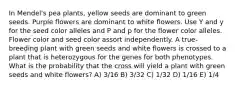 In Mendel's pea plants, yellow seeds are dominant to green seeds. Purple flowers are dominant to white flowers. Use Y and y for the seed color alleles and P and p for the flower color alleles. Flower color and seed color assort independently. A true-breeding plant with green seeds and white flowers is crossed to a plant that is heterozygous for the genes for both phenotypes. What is the probability that the cross will yield a plant with green seeds and white flowers? A) 3/16 B) 3/32 C) 1/32 D) 1/16 E) 1/4