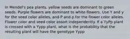 In Mendel's pea plants, yellow seeds are dominant to green seeds. Purple flowers are dominant to white flowers. Use Y and y for the seed color alleles, and P and p for the flower color alleles. Flower color and seed color assort independently. If a YyPp plant is crossed with a Yypp plant, what is the probability that the resulting plant will have the genotype Yypp