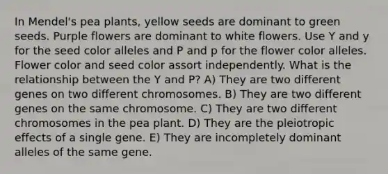 In Mendel's pea plants, yellow seeds are dominant to green seeds. Purple flowers are dominant to white flowers. Use Y and y for the seed color alleles and P and p for the flower color alleles. Flower color and seed color assort independently. What is the relationship between the Y and P? A) They are two different genes on two different chromosomes. B) They are two different genes on the same chromosome. C) They are two different chromosomes in the pea plant. D) They are the pleiotropic effects of a single gene. E) They are incompletely dominant alleles of the same gene.