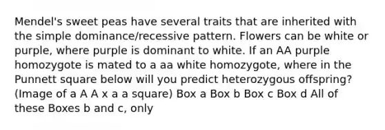 Mendel's sweet peas have several traits that are inherited with the simple dominance/recessive pattern. Flowers can be white or purple, where purple is dominant to white. If an AA purple homozygote is mated to a aa white homozygote, where in the Punnett square below will you predict heterozygous offspring? (Image of a A A x a a square) Box a Box b Box c Box d All of these Boxes b and c, only