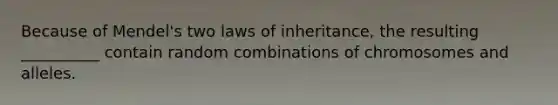 Because of Mendel's two laws of inheritance, the resulting __________ contain random combinations of chromosomes and alleles.