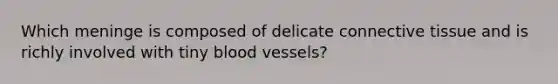 Which meninge is composed of delicate connective tissue and is richly involved with tiny blood vessels?