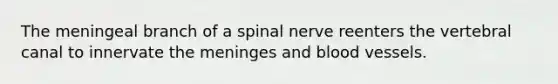 The meningeal branch of a spinal nerve reenters the vertebral canal to innervate the meninges and blood vessels.