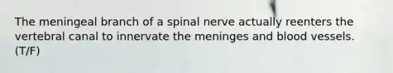 The meningeal branch of a spinal nerve actually reenters the vertebral canal to innervate the meninges and blood vessels. (T/F)