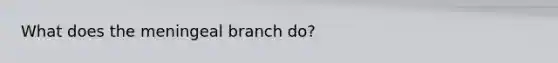 What does the meningeal branch do?