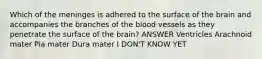 Which of the meninges is adhered to the surface of the brain and accompanies the branches of the blood vessels as they penetrate the surface of the brain? ANSWER Ventricles Arachnoid mater Pia mater Dura mater I DON'T KNOW YET