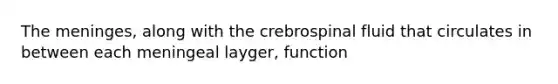 The meninges, along with the crebrospinal fluid that circulates in between each meningeal layger, function