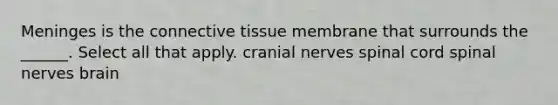 Meninges is the connective tissue membrane that surrounds the ______. Select all that apply. cranial nerves spinal cord spinal nerves brain