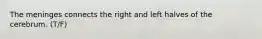 The meninges connects the right and left halves of the cerebrum. (T/F)