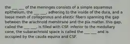 the ___ ___ of the meninges consists of a simple squamous epithelium, the ___ ___, adhering to the inside of the dura, and a loose mesh of collagenous and elastic fibers spanning the gap between the arachnoid membrane and the pia matter. this gap, called the ___ ___, is filled with CSF. inferior to the medullary cone, the subarachnoid space is called the ___ ___ and is occupied by the cauda equina and CSF.