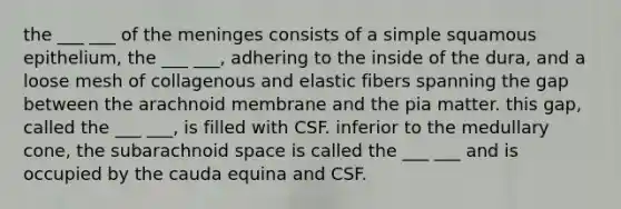 the ___ ___ of the meninges consists of a simple squamous epithelium, the ___ ___, adhering to the inside of the dura, and a loose mesh of collagenous and elastic fibers spanning the gap between the arachnoid membrane and the pia matter. this gap, called the ___ ___, is filled with CSF. inferior to the medullary cone, the subarachnoid space is called the ___ ___ and is occupied by the cauda equina and CSF.