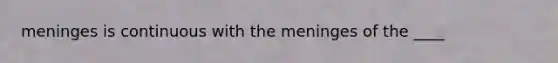 meninges is continuous with <a href='https://www.questionai.com/knowledge/k36SqhoPCV-the-meninges' class='anchor-knowledge'>the meninges</a> of the ____