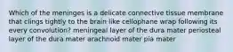 Which of the meninges is a delicate connective tissue membrane that clings tightly to the brain like cellophane wrap following its every convolution? meningeal layer of the dura mater periosteal layer of the dura mater arachnoid mater pia mater