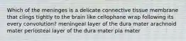 Which of the meninges is a delicate connective tissue membrane that clings tightly to the brain like cellophane wrap following its every convolution? meningeal layer of the dura mater arachnoid mater periosteal layer of the dura mater pia mater