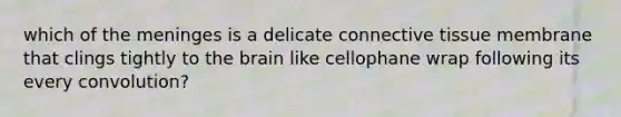 which of the meninges is a delicate connective tissue membrane that clings tightly to the brain like cellophane wrap following its every convolution?