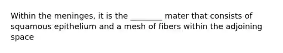 Within the meninges, it is the ________ mater that consists of squamous epithelium and a mesh of fibers within the adjoining space