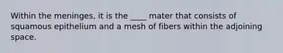 Within the meninges, it is the ____ mater that consists of squamous epithelium and a mesh of fibers within the adjoining space.