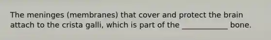 The meninges (membranes) that cover and protect the brain attach to the crista galli, which is part of the ____________ bone.