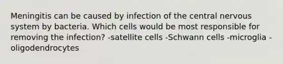 Meningitis can be caused by infection of the central <a href='https://www.questionai.com/knowledge/kThdVqrsqy-nervous-system' class='anchor-knowledge'>nervous system</a> by bacteria. Which cells would be most responsible for removing the infection? -satellite cells -Schwann cells -microglia -oligodendrocytes