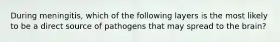 During meningitis, which of the following layers is the most likely to be a direct source of pathogens that may spread to <a href='https://www.questionai.com/knowledge/kLMtJeqKp6-the-brain' class='anchor-knowledge'>the brain</a>?