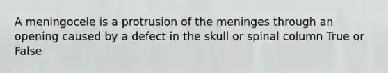 A meningocele is a protrusion of the meninges through an opening caused by a defect in the skull or spinal column True or False