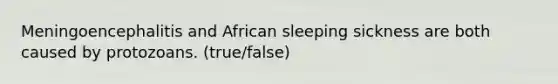 Meningoencephalitis and African sleeping sickness are both caused by protozoans. (true/false)