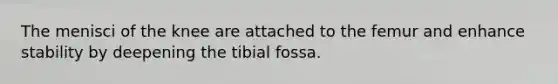 The menisci of the knee are attached to the femur and enhance stability by deepening the tibial fossa.