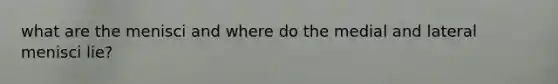 what are the menisci and where do the medial and lateral menisci lie?