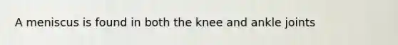 A meniscus is found in both the knee and ankle joints