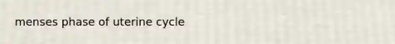 menses phase of uterine cycle