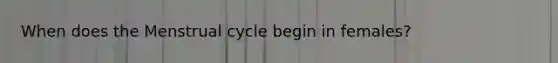 When does the Menstrual cycle begin in females?