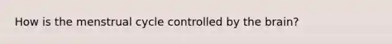 How is the menstrual cycle controlled by the brain?